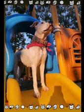 AlgoS - ait Kullan�c� Resmi (Avatar)