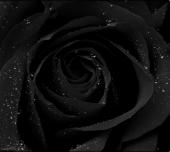 Zeit - ait Kullan�c� Resmi (Avatar)