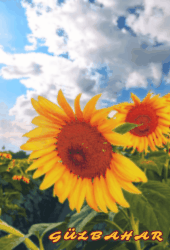 G�lbahar - ait Kullan�c� Resmi (Avatar)