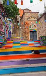 RoSe - ait Kullan�c� Resmi (Avatar)