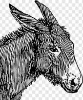 Romasanta - ait Kullan�c� Resmi (Avatar)