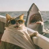 czmert - ait Kullan�c� Resmi (Avatar)