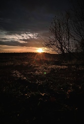 �ekerciq - ait Kullan�c� Resmi (Avatar)