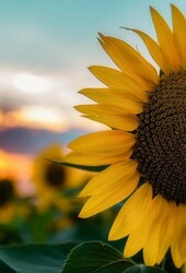 i_nur - ait Kullan�c� Resmi (Avatar)