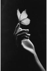 merecnes - ait Kullan�c� Resmi (Avatar)