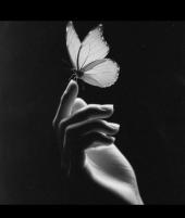 merecnes - ait Kullan�c� Resmi (Avatar)