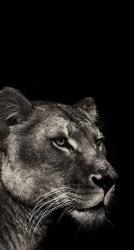 Nyx - ait Kullan�c� Resmi (Avatar)