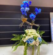 NevRa ` - ait Kullan�c� Resmi (Avatar)