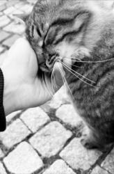 Katre - ait Kullan�c� Resmi (Avatar)