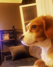 SoLo - ait Kullan�c� Resmi (Avatar)