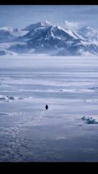 guastafeste - ait Kullan�c� Resmi (Avatar)