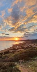 SahGuL - ait Kullan�c� Resmi (Avatar)