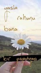 Evaa - ait Kullan�c� Resmi (Avatar)