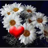 DJ-EfteLya - ait Kullan�c� Resmi (Avatar)