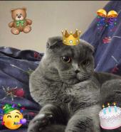 Aranjuez - ait Kullan�c� Resmi (Avatar)