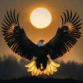 Shadow34 - ait Kullan�c� Resmi (Avatar)