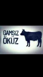 Gams�z_�k�z - ait Kullan�c� Resmi (Avatar)