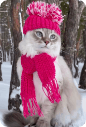 Merve - ait Kullan�c� Resmi (Avatar)