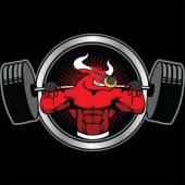 Fitbull - ait Kullan�c� Resmi (Avatar)