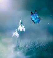 MaHRu - ait Kullan�c� Resmi (Avatar)