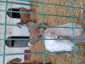 Eraycem - ait Kullan�c� Resmi (Avatar)