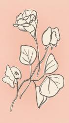 Pure - ait Kullan�c� Resmi (Avatar)