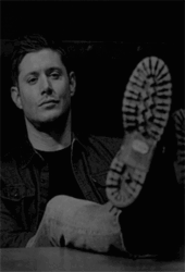 Stolichnaya - ait Kullan�c� Resmi (Avatar)