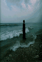 qRi - ait Kullan�c� Resmi (Avatar)