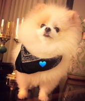 Damla - ait Kullan�c� Resmi (Avatar)