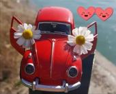 Bra - ait Kullanc Resmi (Avatar)