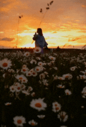 KeKiK - ait Kullan�c� Resmi (Avatar)