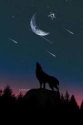 KurSun - ait Kullan�c� Resmi (Avatar)