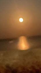 Zed - ait Kullan�c� Resmi (Avatar)