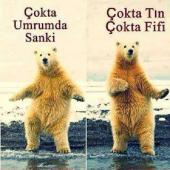 Cem - ait Kullan�c� Resmi (Avatar)