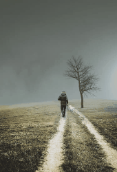 PcChoLik - ait Kullan�c� Resmi (Avatar)