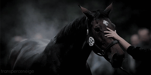 <div align=center>https://ibb.co/bvRy5Rk</div>